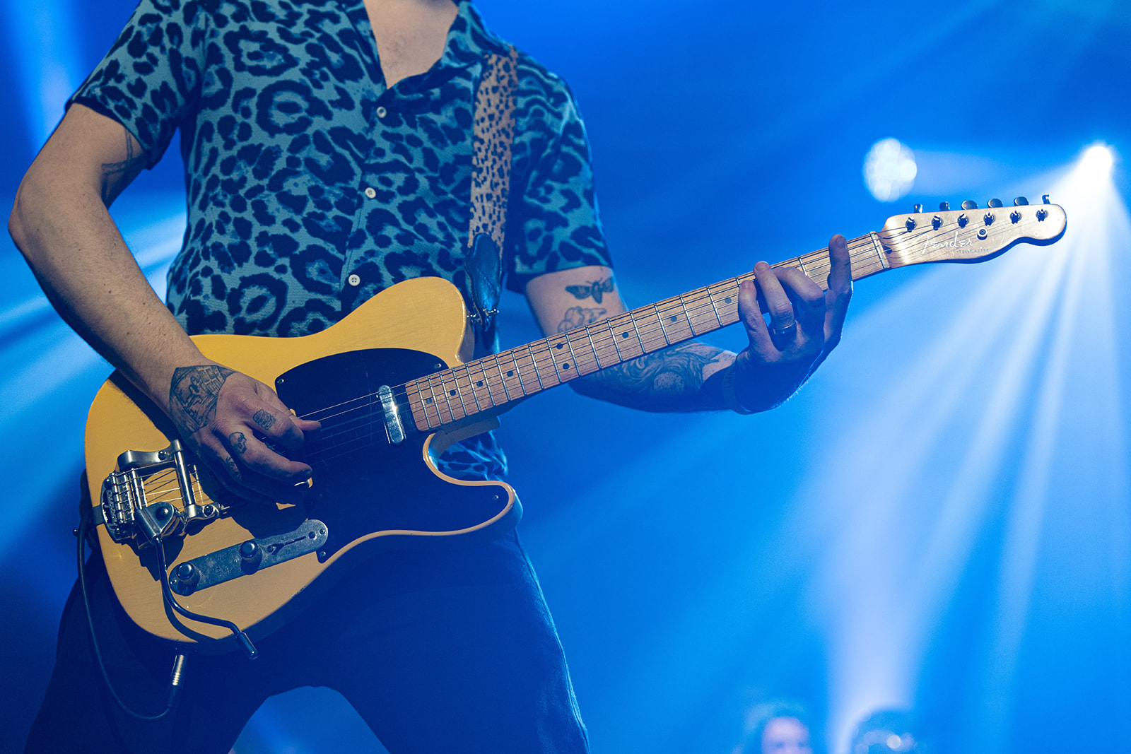 Washington Dead Cats – énergie brute